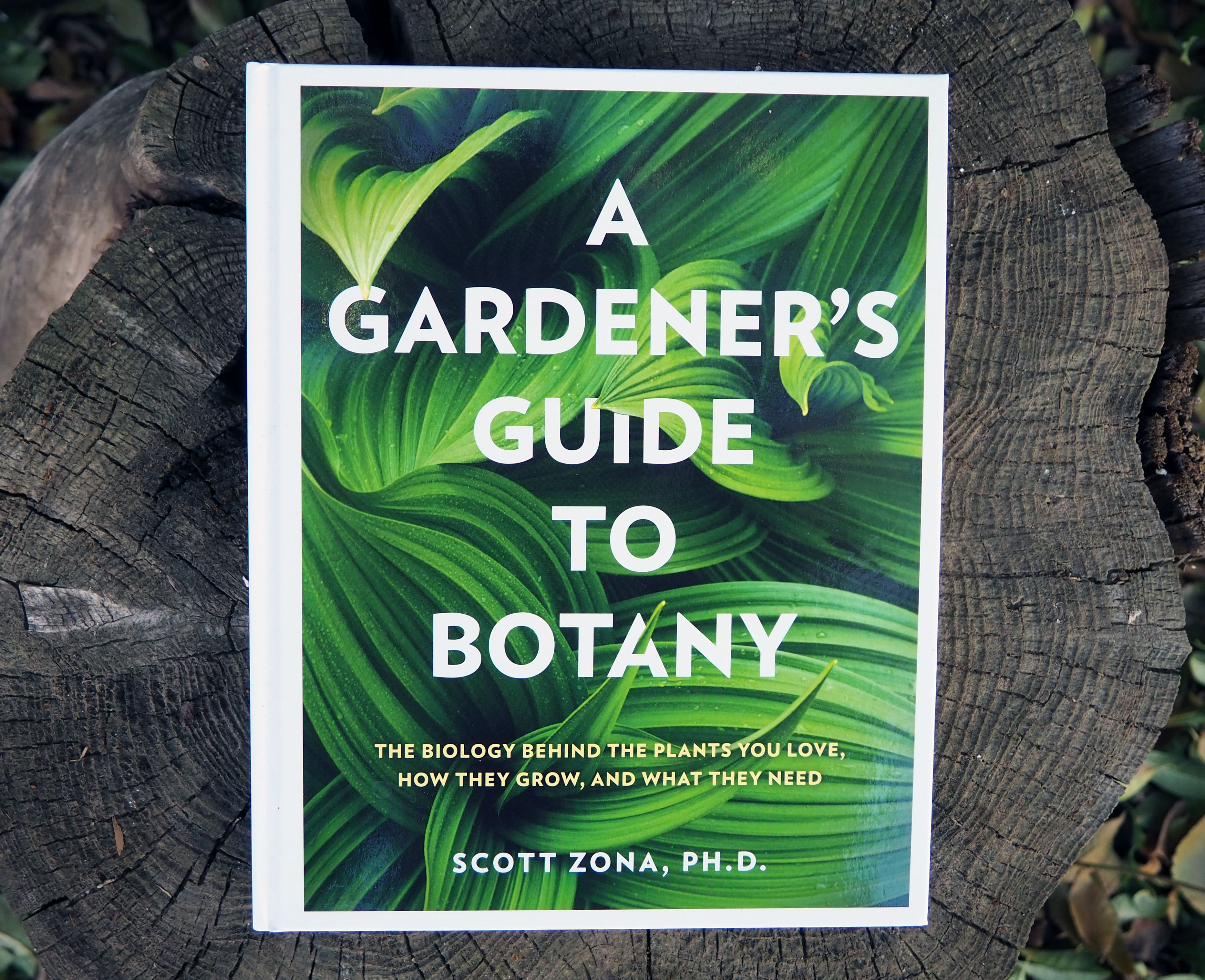 Book Review A Gardeners Guide to Botany awkward botany picture